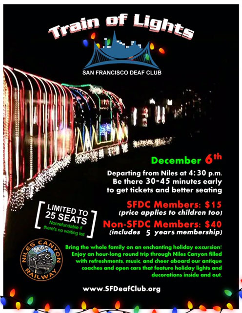 SFDC Train of Lights - 2015